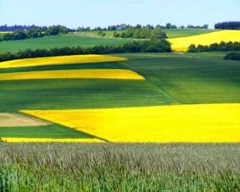 kulturlandschaft_eifel