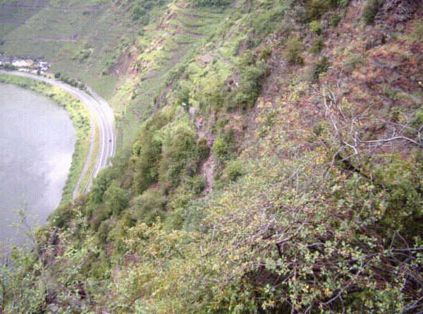 Der steilste Weinberg Europas
