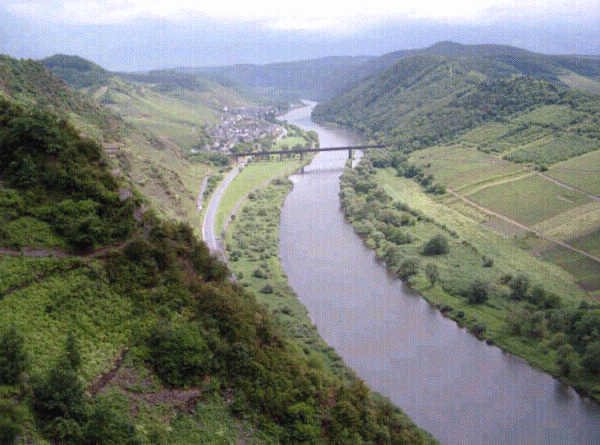 Blick nach Ediger - Eller